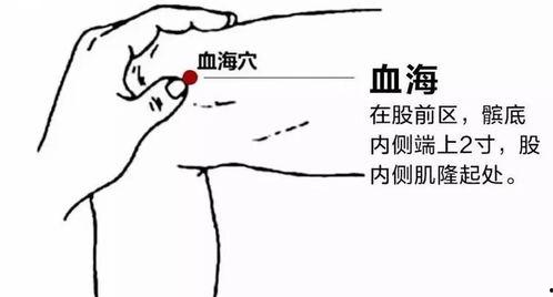 血海穴视频,揭秘人体养生之要穴