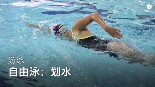 基础游泳教学视频,轻松掌握游泳技巧入门指南