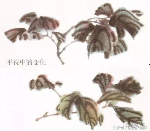 牡丹叶子的画法视频,一笔一划展现国色天香